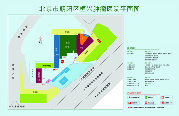 日韩欧美大力艹北京市朝阳区桓兴肿瘤医院平面图